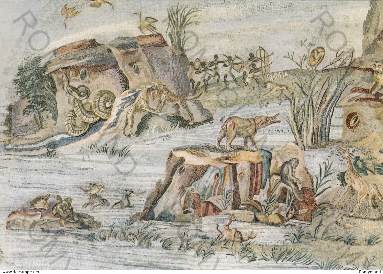 CARTOLINA  PALESTRINA,ROMA,LAZIO-SCENA DI CACCIA-MOSAICO DEL NILO (MUSEO NAZIONALE PRENESTINO)-NON VIAGGIATA - Musei