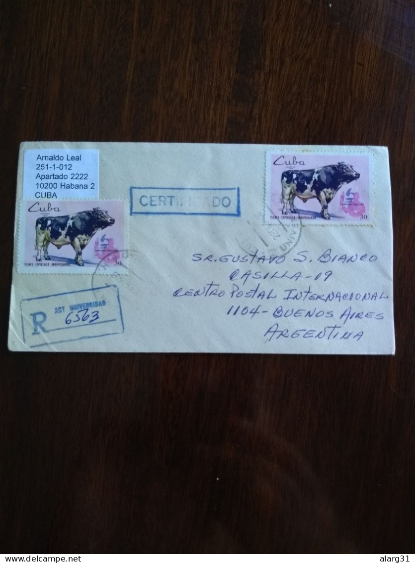 Registered Letter Cuba.argentina.1994.the Cow.milk Cow.yv 1339*2.cv 8e.e8 Reg Post Conmems UP To 2p.3+ E14. - Vacas