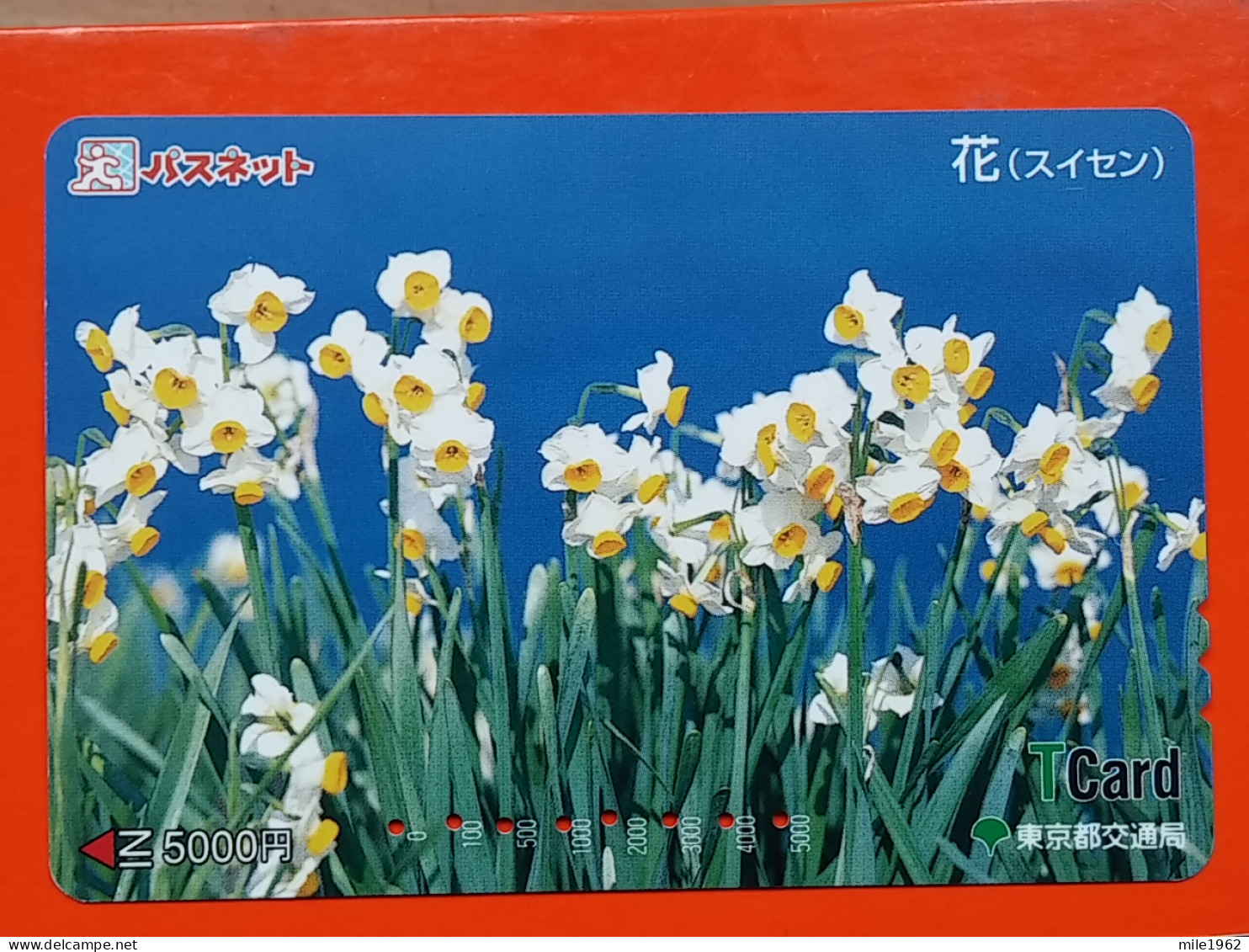 T-174 - JAPAN -JAPON, NIPON, Carte Prepayee - Flower, Fleur - Giappone