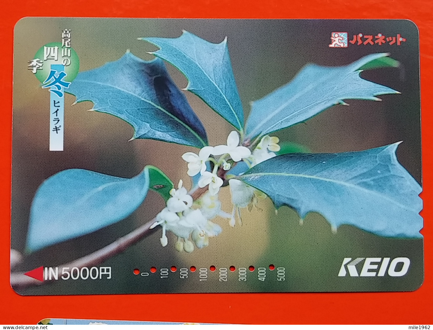 T-174 - JAPAN -JAPON, NIPON, Carte Prepayee - Flower, Fleur - Giappone