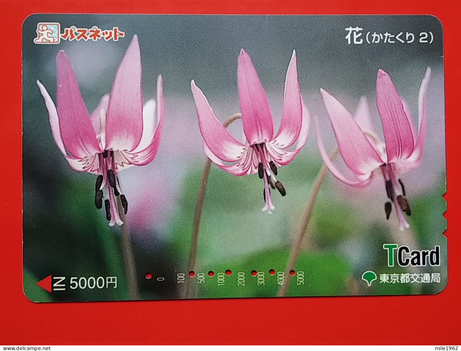 T-174 - JAPAN -JAPON, NIPON, Carte Prepayee - Flower, Fleur - Giappone