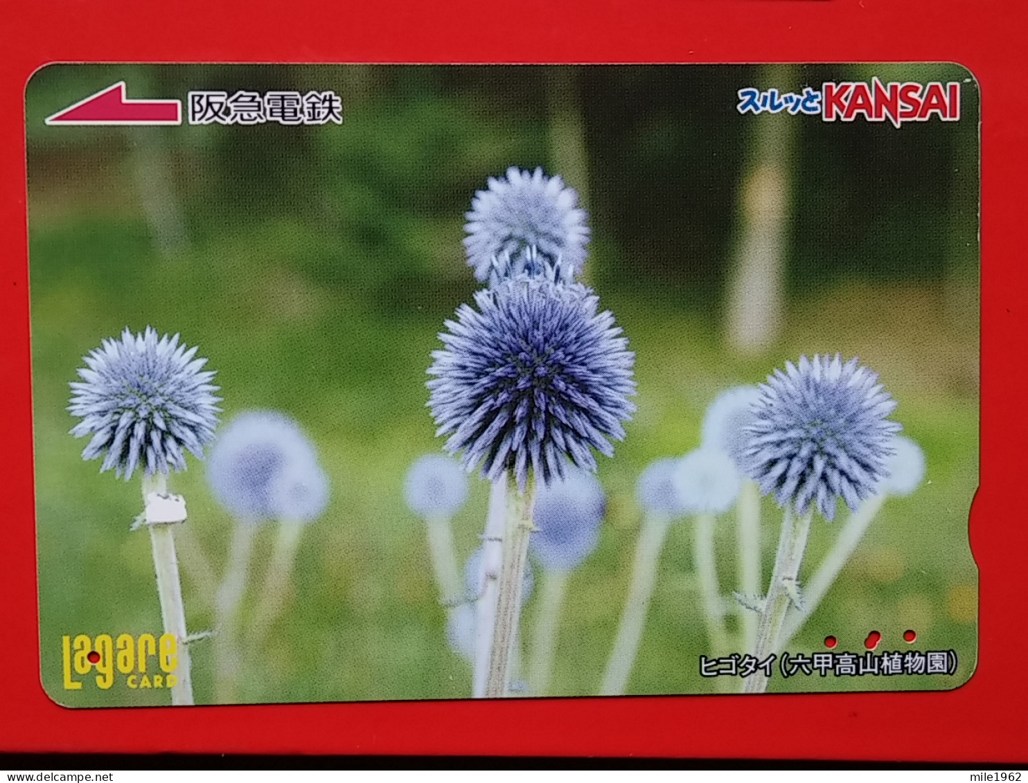 T-174 - JAPAN -JAPON, NIPON, Carte Prepayee - Flower, Fleur - Giappone