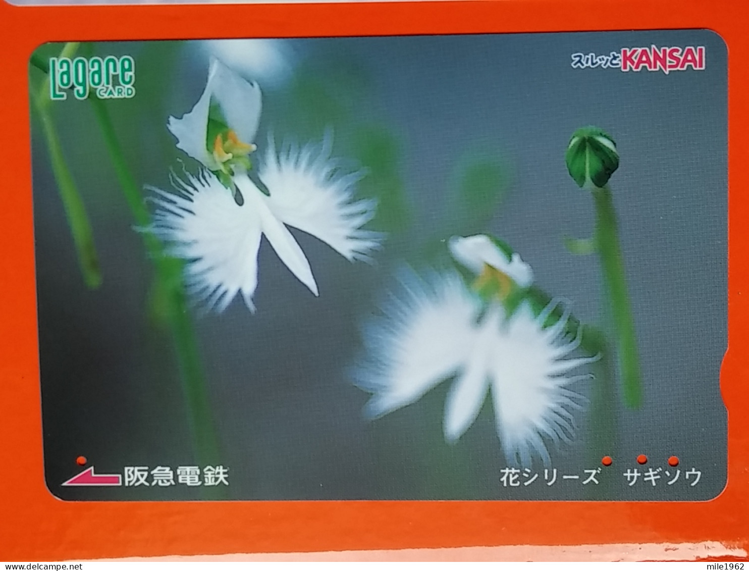 T-174 - JAPAN -JAPON, NIPON, Carte Prepayee - Flower, Fleur - Giappone