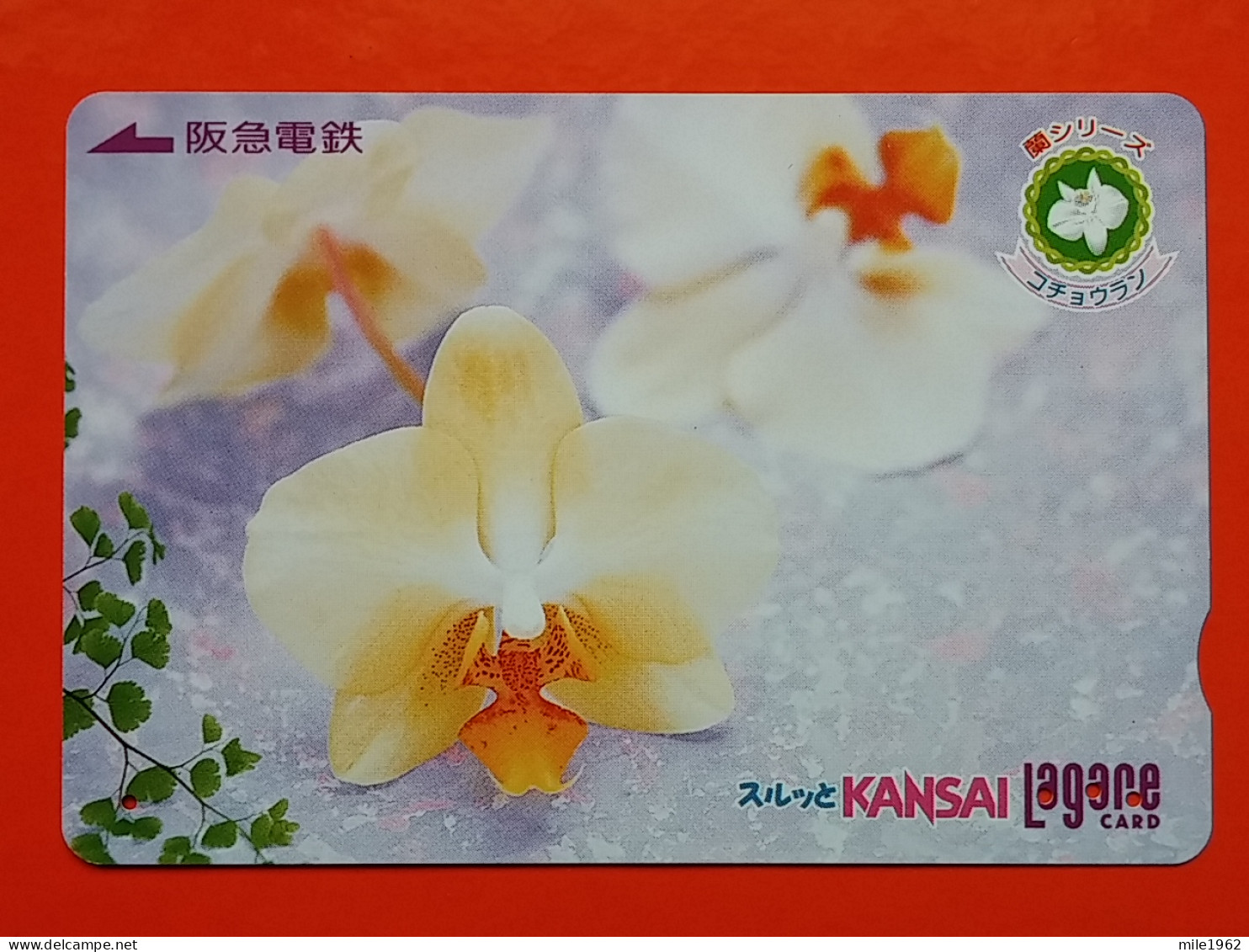 T-174 - JAPAN -JAPON, NIPON, Carte Prepayee - Flower, Fleur - Giappone