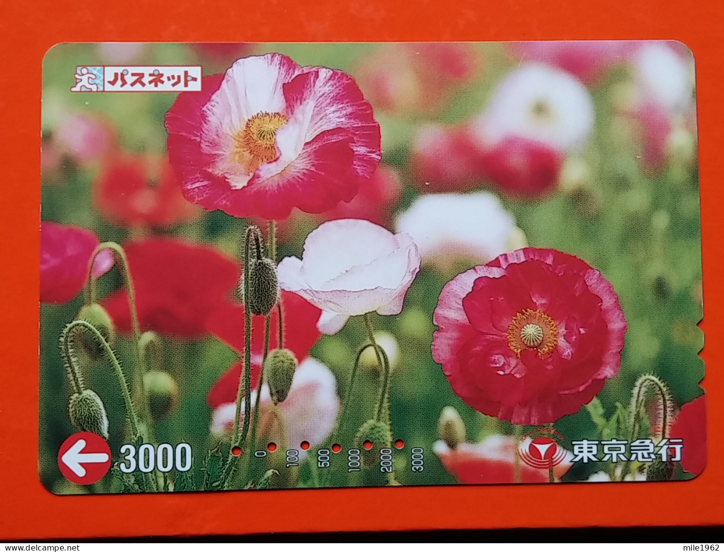 T-174 - JAPAN -JAPON, NIPON, Carte Prepayee - Flower, Fleur - Japon