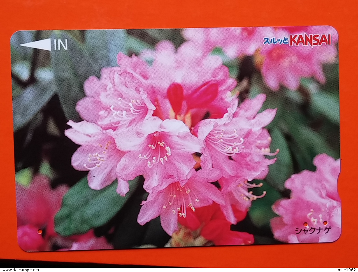 T-174 - JAPAN -JAPON, NIPON, Carte Prepayee - Flower, Fleur - Giappone