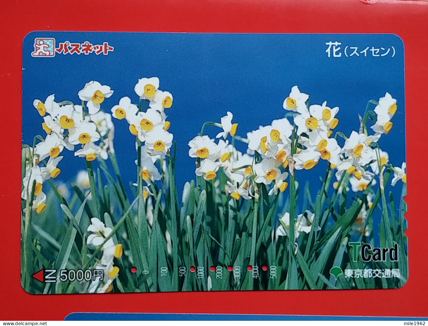 T-175 - JAPAN -JAPON, NIPON, Carte Prepayee - Flower, Fleur - Giappone