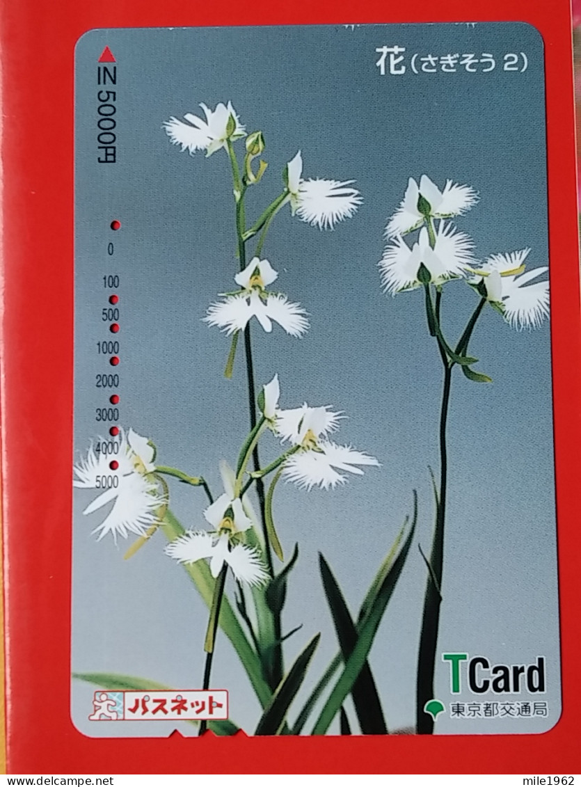 T-175 - JAPAN -JAPON, NIPON, Carte Prepayee - Flower, Fleur - Giappone