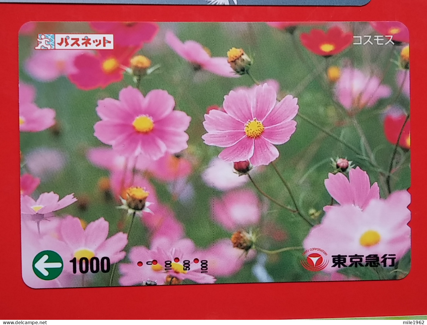 T-175 - JAPAN -JAPON, NIPON, Carte Prepayee - Flower, Fleur - Giappone