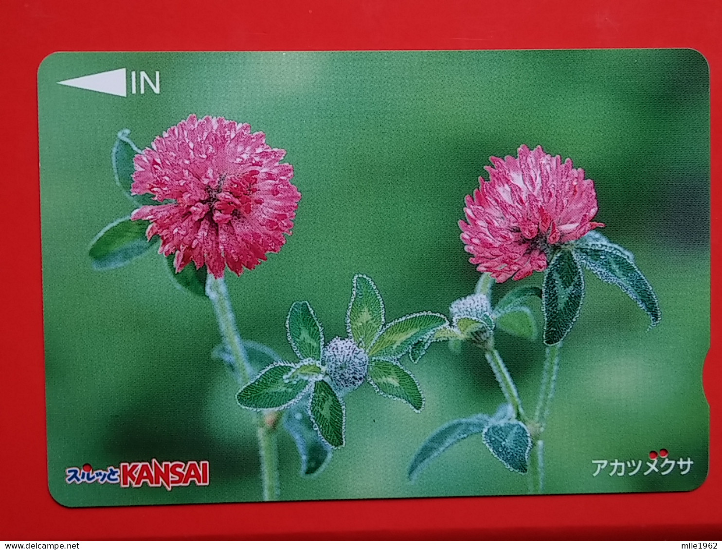 T-175 - JAPAN -JAPON, NIPON, Carte Prepayee - Flower, Fleur - Giappone