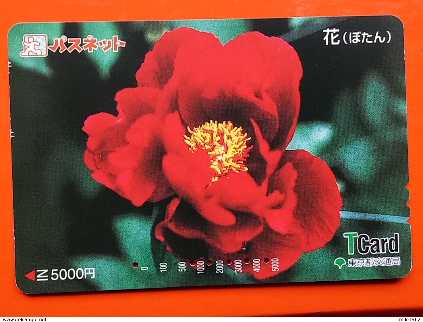 T-175 - JAPAN -JAPON, NIPON, Carte Prepayee - Flower, Fleur - Giappone