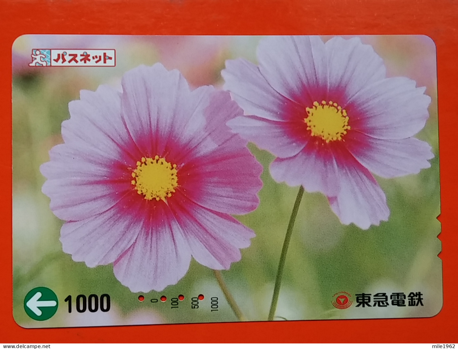 T-175 - JAPAN -JAPON, NIPON, Carte Prepayee - Flower, Fleur - Giappone