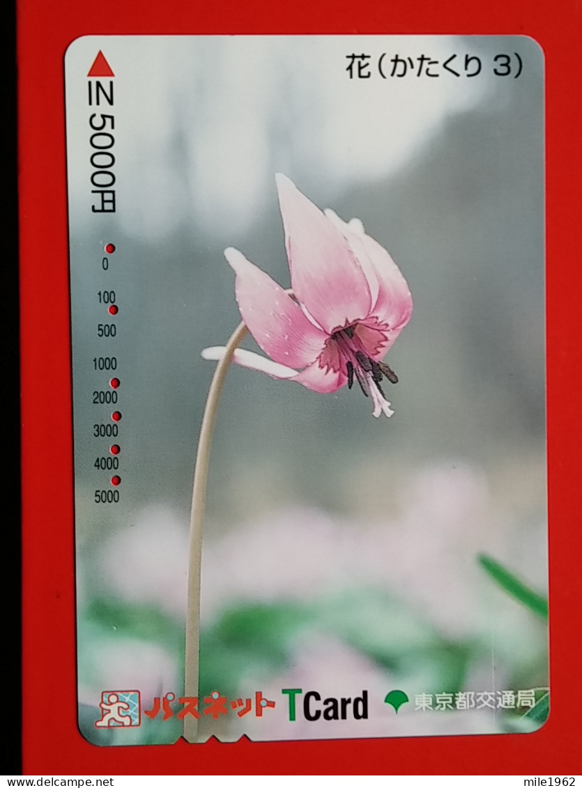 T-175 - JAPAN -JAPON, NIPON, Carte Prepayee - Flower, Fleur - Giappone