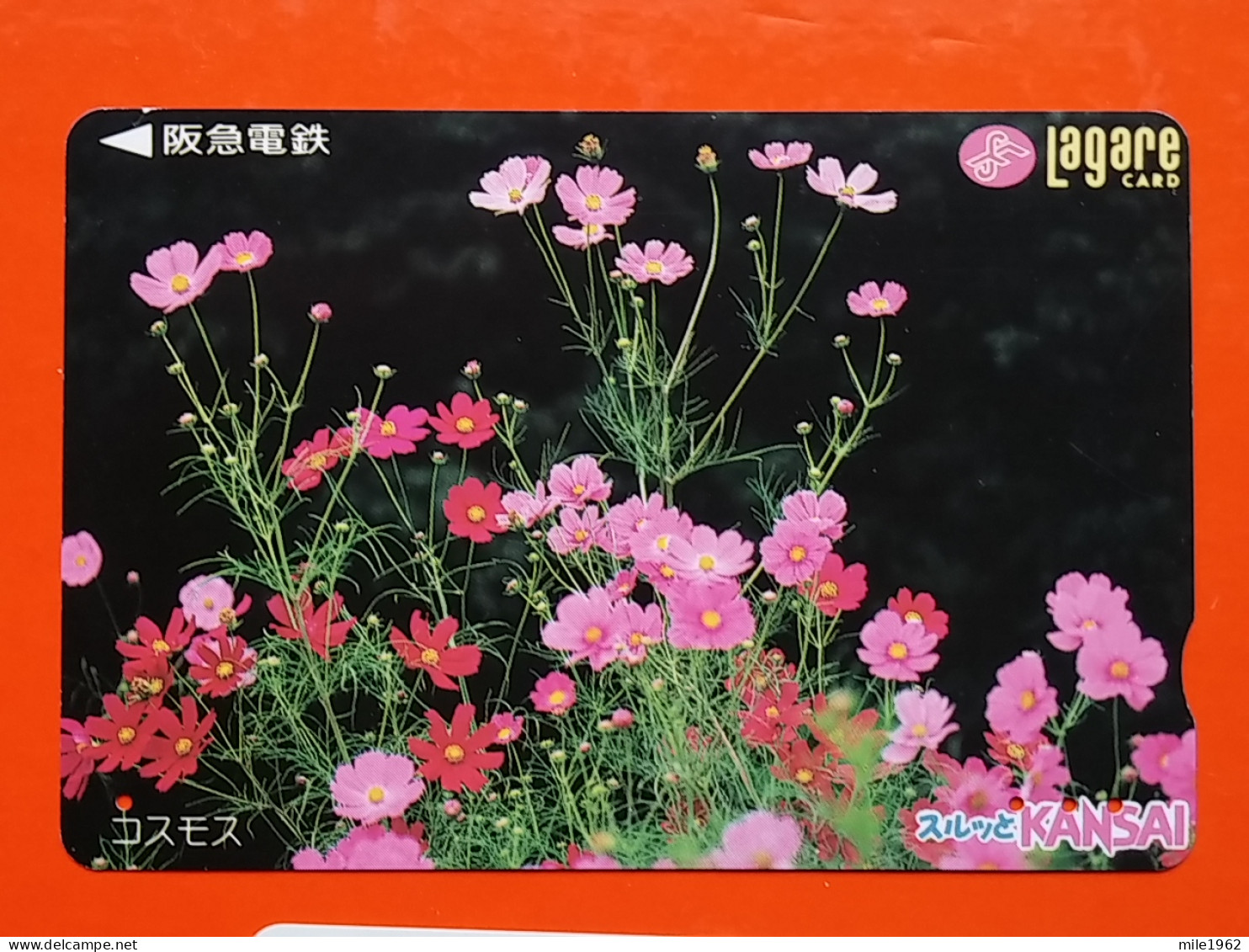 T-175 - JAPAN -JAPON, NIPON, Carte Prepayee - Flower, Fleur - Giappone