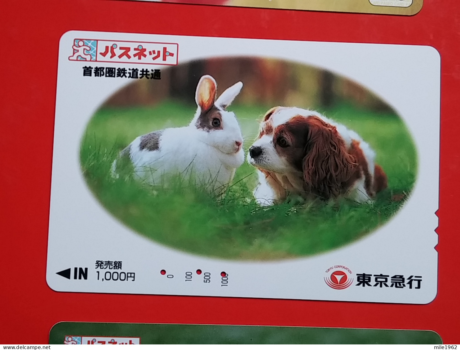 T-179 - JAPAN -JAPON, NIPON, Carte Prepayee -  Rabbit. Lapin - Kaninchen