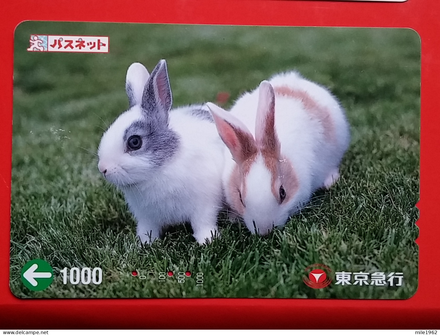 T-179 - JAPAN -JAPON, NIPON, Carte Prepayee -  Rabbit. Lapin - Conigli