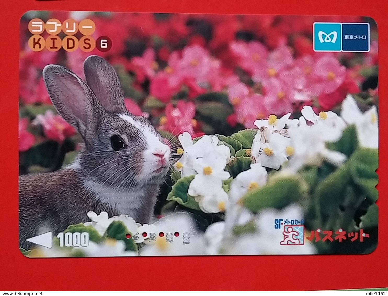 T-180 - JAPAN -JAPON, NIPON, Carte Prepayee -  Rabbit. Lapin - Conejos