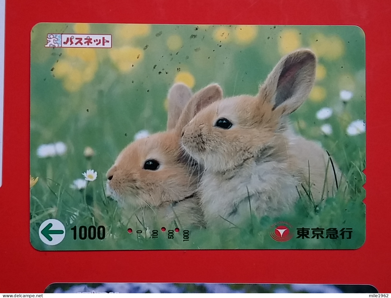 T-180 - JAPAN -JAPON, NIPON, Carte Prepayee -  Rabbit. Lapin - Kaninchen