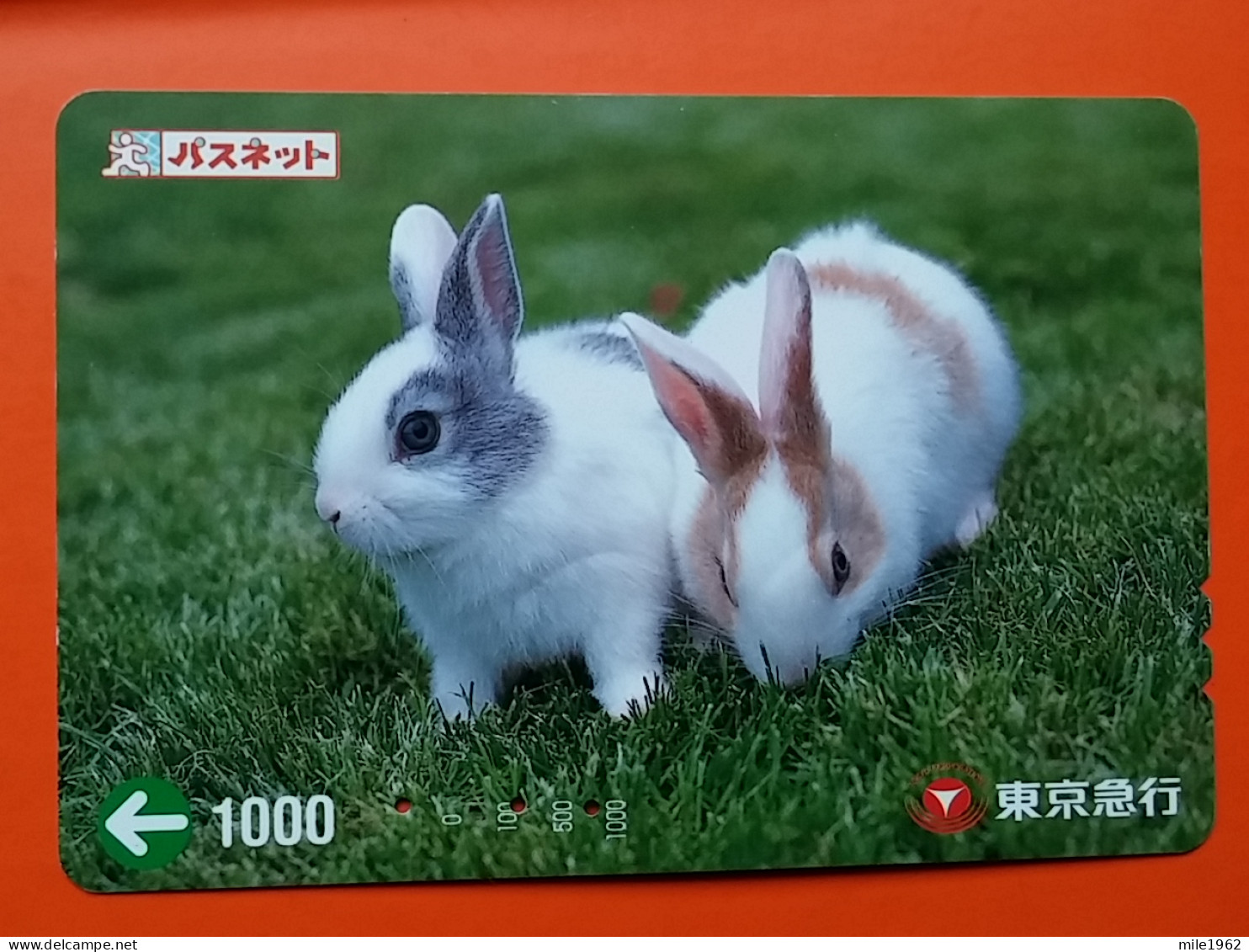 T-180 - JAPAN -JAPON, NIPON, Carte Prepayee -  Rabbit. Lapin - Rabbits