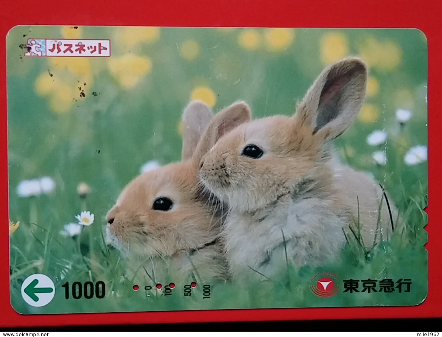 T-180 - JAPAN -JAPON, NIPON, Carte Prepayee -  Rabbit. Lapin - Rabbits