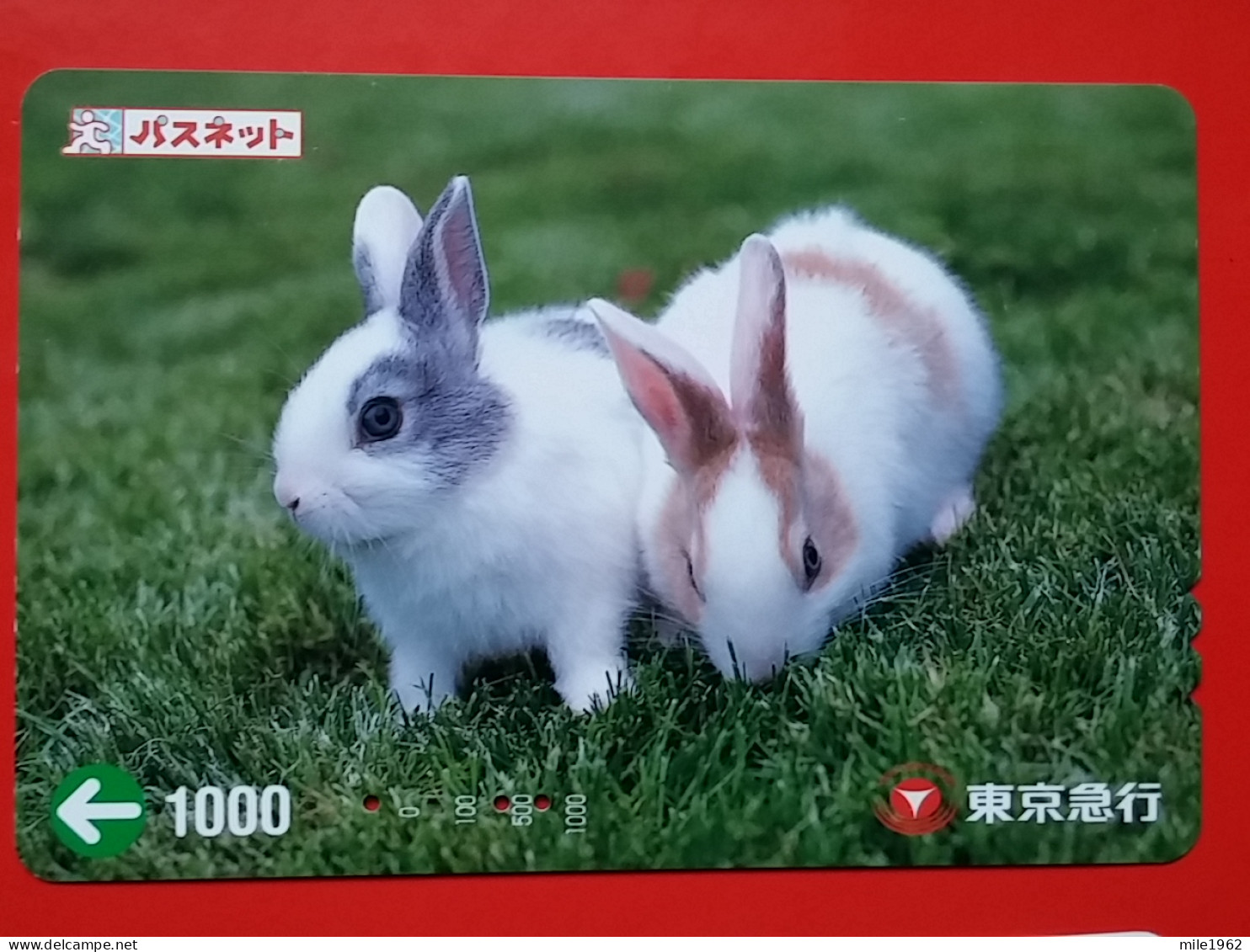 T-180 - JAPAN -JAPON, NIPON, Carte Prepayee -  Rabbit. Lapin - Conejos