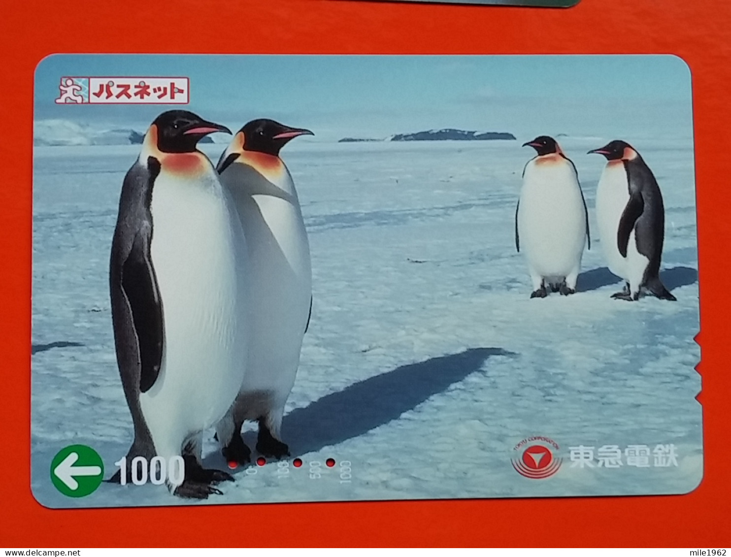 T-180 - JAPAN -JAPON, NIPON, Carte Prepayee - Bird, Oiseau, Manchot, Pinguin - Pinguine