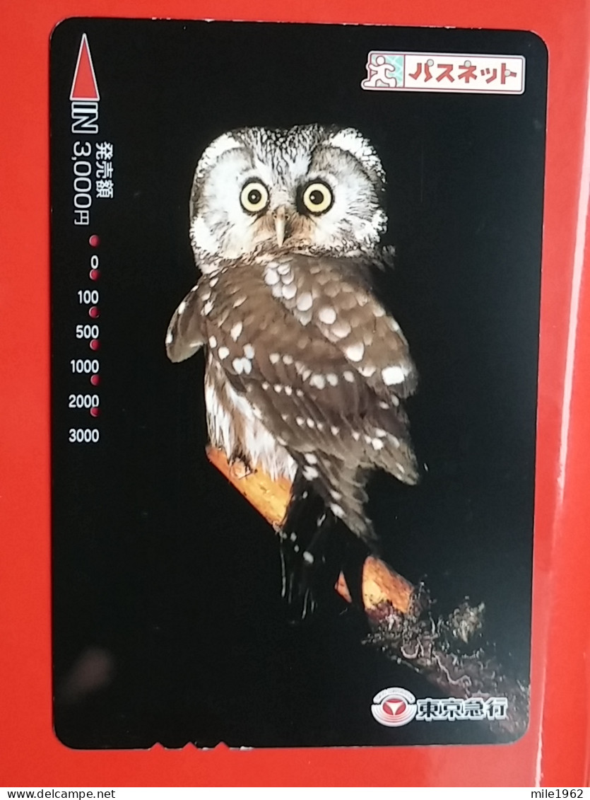 T-181 - JAPAN -JAPON, NIPON, Carte Prepayee - Bird, Oiseau, Owl, Hibou - Búhos, Lechuza