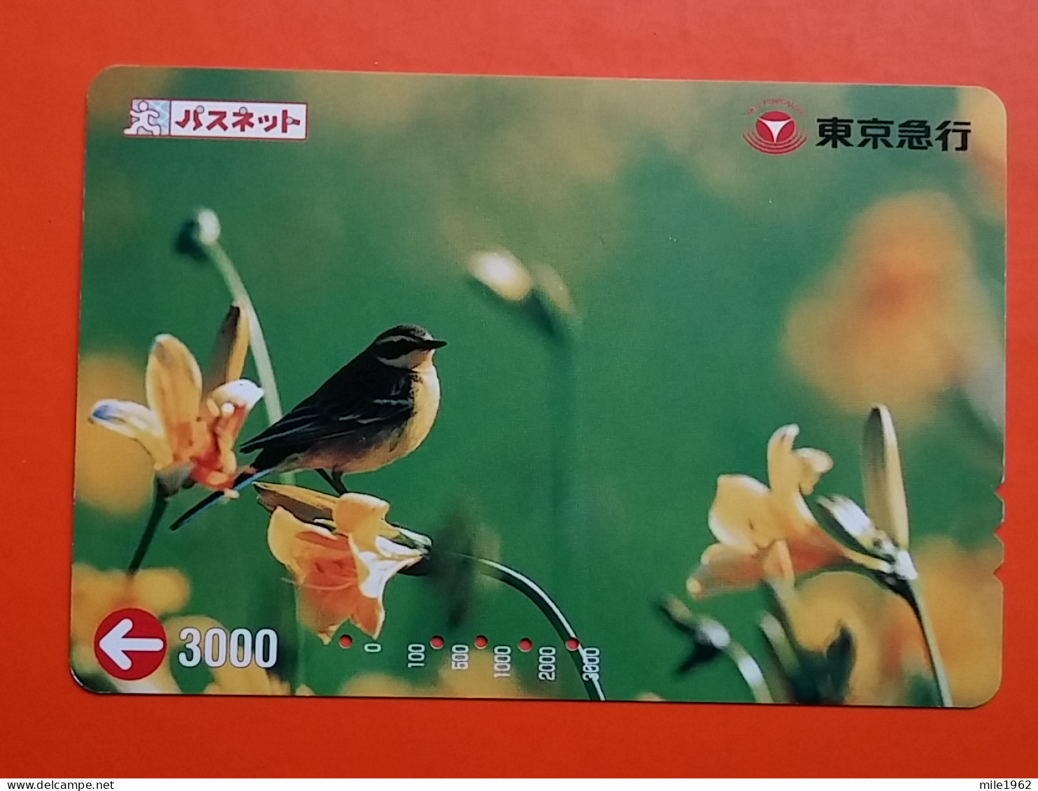 T-181 - JAPAN -JAPON, NIPON, Carte Prepayee - Bird, Oiseau,  - Other & Unclassified