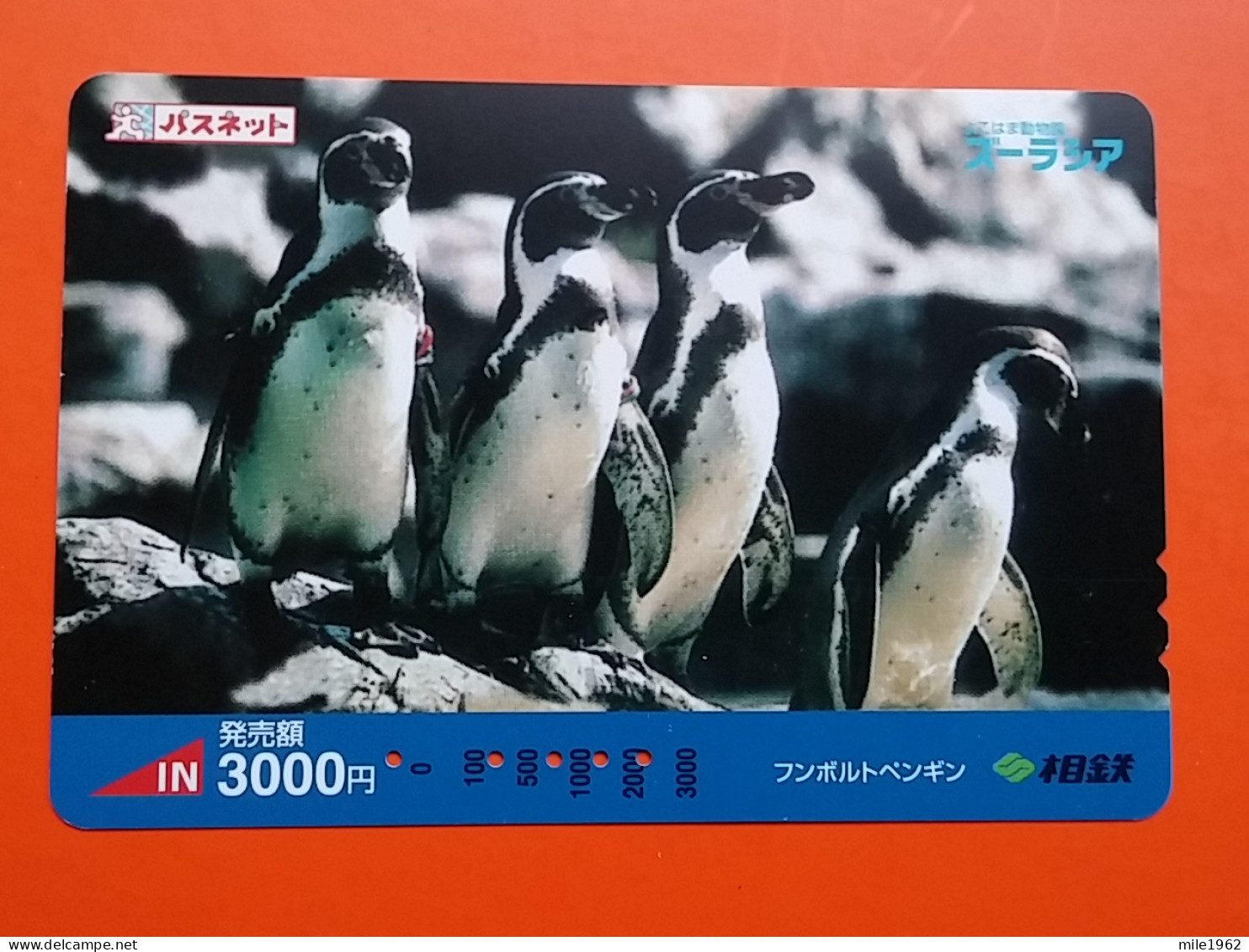T-181 - JAPAN -JAPON, NIPON, Carte Prepayee - Bird, Oiseau, Manchot, Pinguin - Pinguine