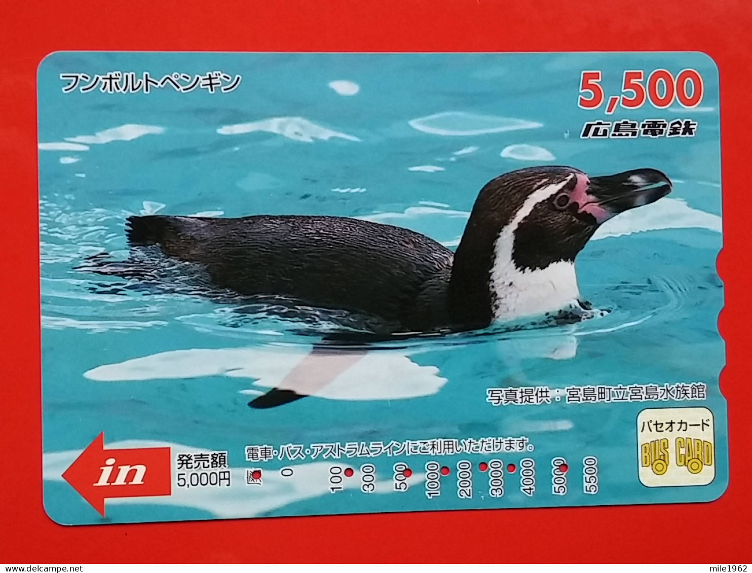 T-181 - JAPAN -JAPON, NIPON, Carte Prepayee - Bird, Oiseau, Manchot, Pinguin - Pinguine