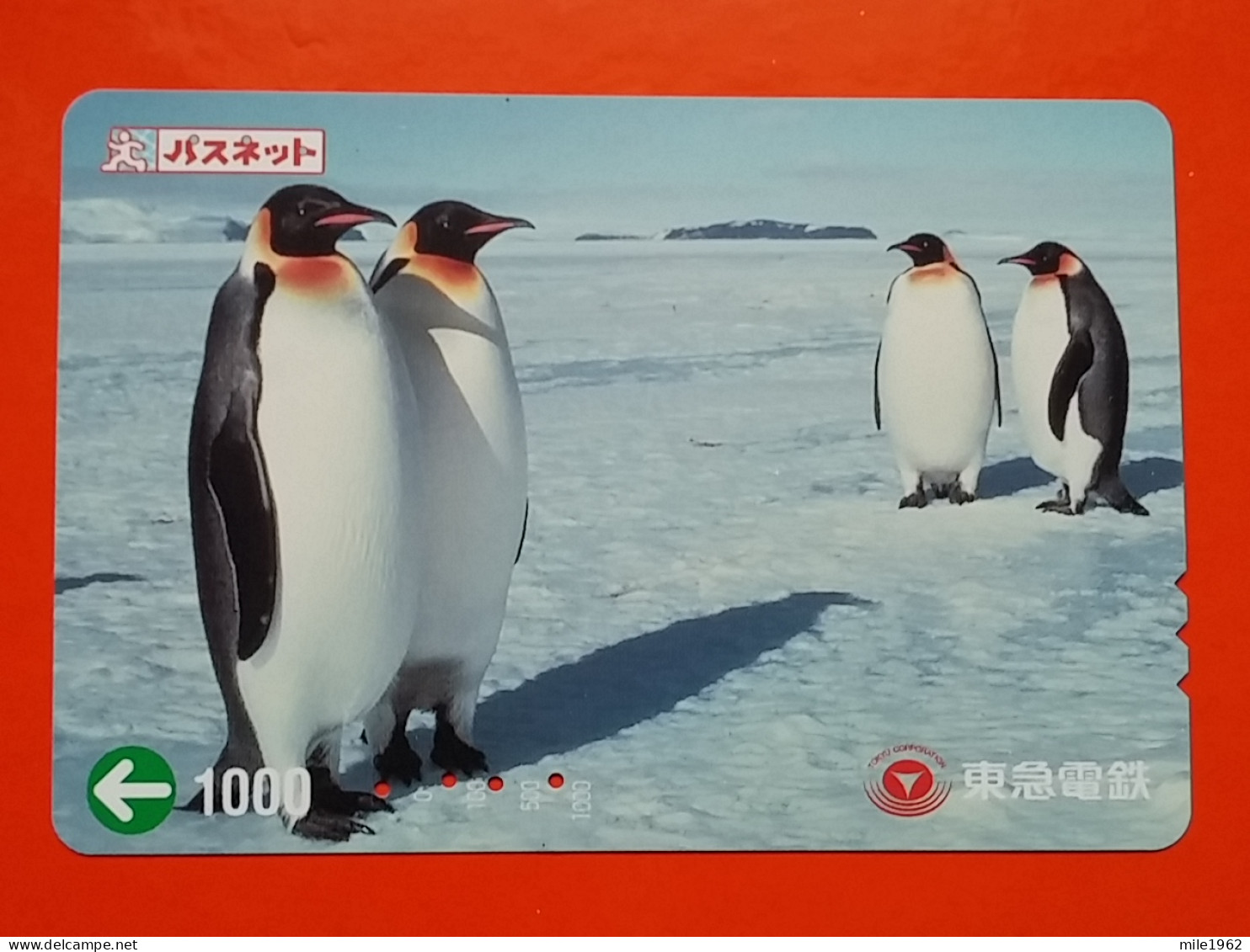 T-181 - JAPAN -JAPON, NIPON, Carte Prepayee - Bird, Oiseau, Manchot, Pinguin - Pinguine