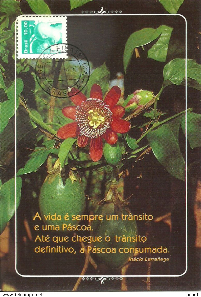 Carte Maximum - Brasil - Frutos - Fruits - Maracujá - Maximumkaarten
