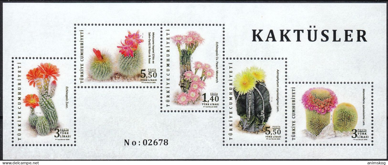 Türkei** 2020, Kakteen / Turkey MNH 2020, Cacti - Sukkulenten