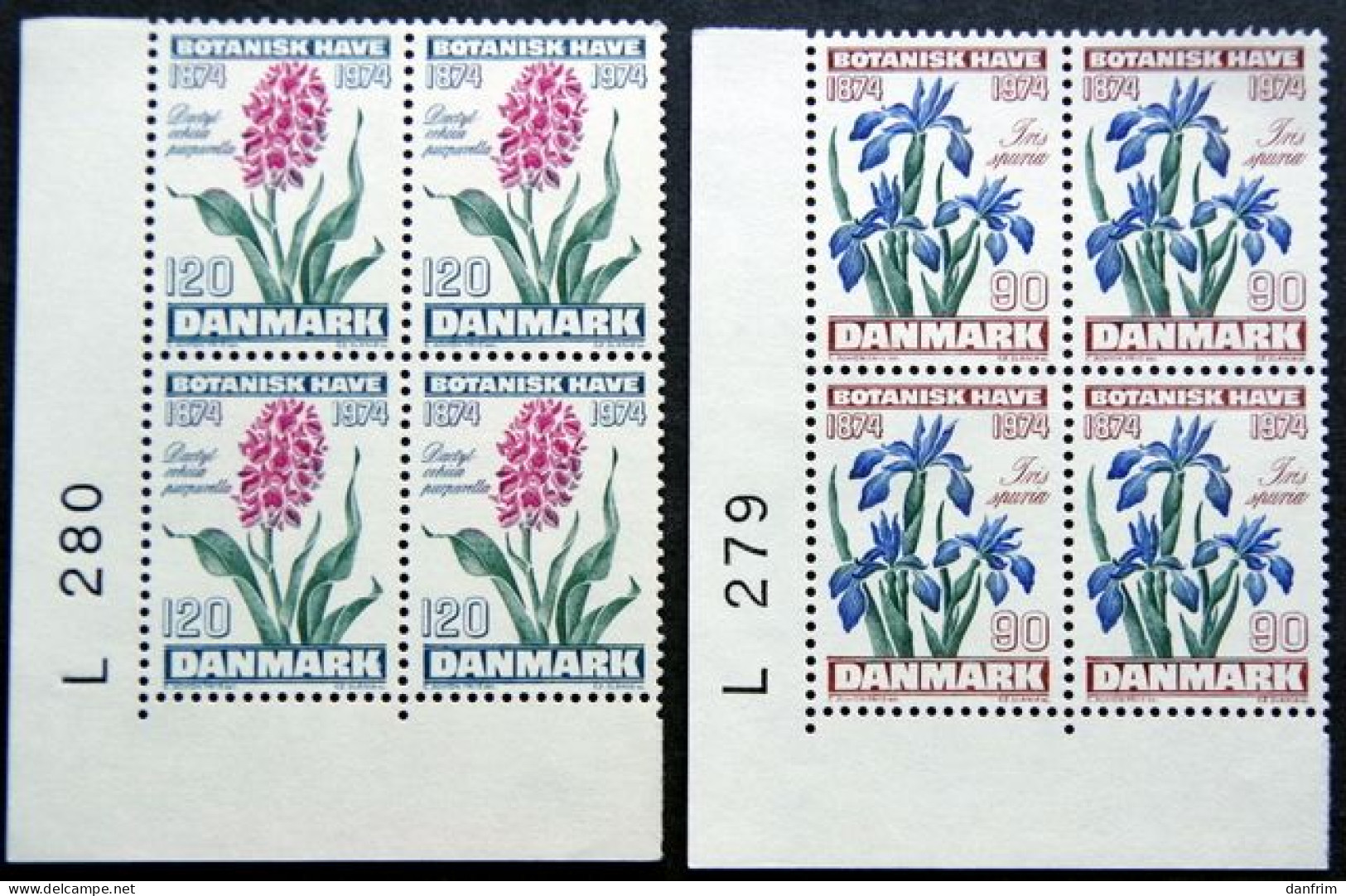 Denmark 1974   MiNr.575-76 MNH (**)  Flowers / Blumen / Fleurs  Cz.Slania  (lot Ks 1413) - Unused Stamps