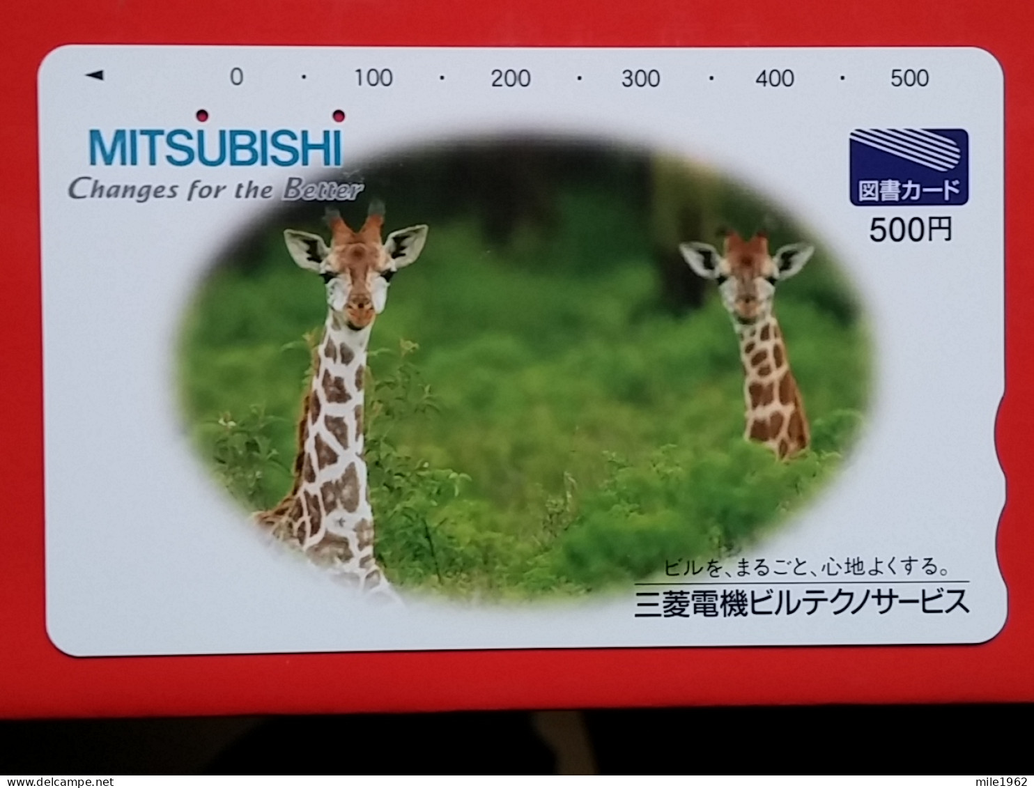 T-203 - JAPAN -JAPON, NIPON, Carte Prepayee  ANIMAL, GIRAFE, GIRAFFE, ZIRAFA - Oerwoud