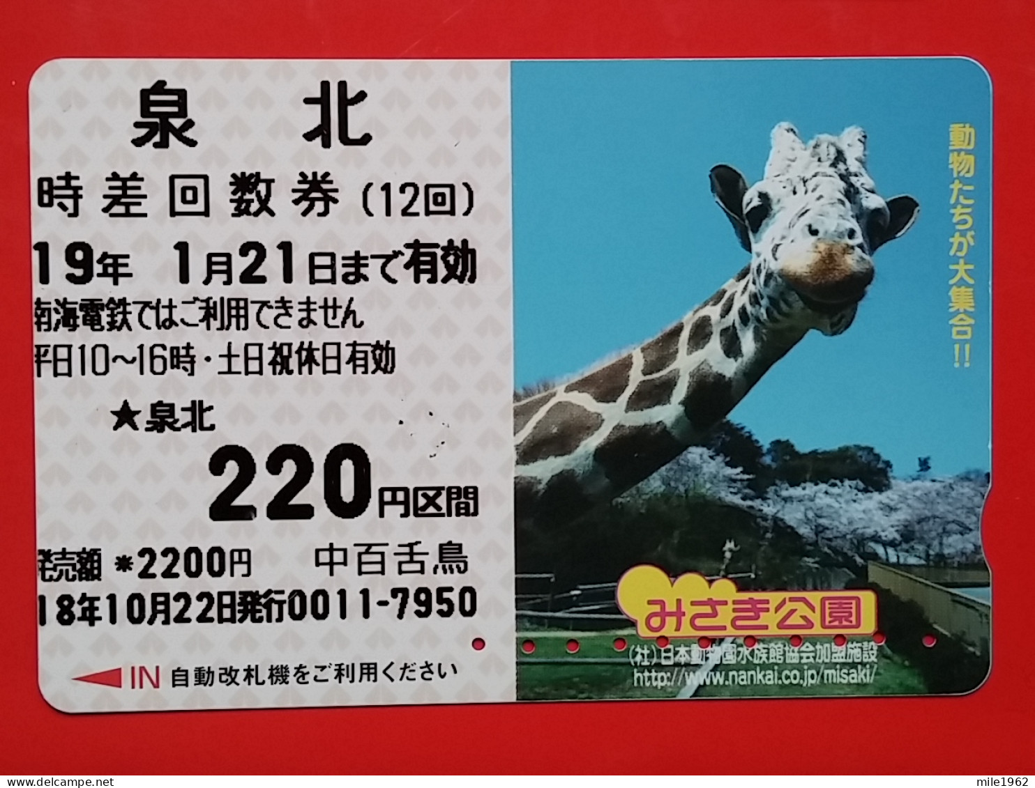 T-203 - JAPAN -JAPON, NIPON, Carte Prepayee  ANIMAL, GIRAFE, GIRAFFE, ZIRAFA - Jungle