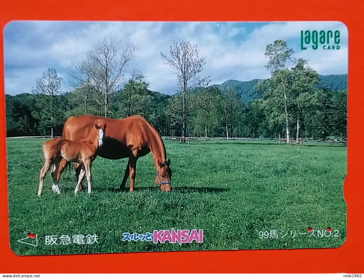 T-203 - JAPAN -JAPON, NIPON, Carte Prepayee  ANIMAL, HORSE, CHEVAL - Caballos