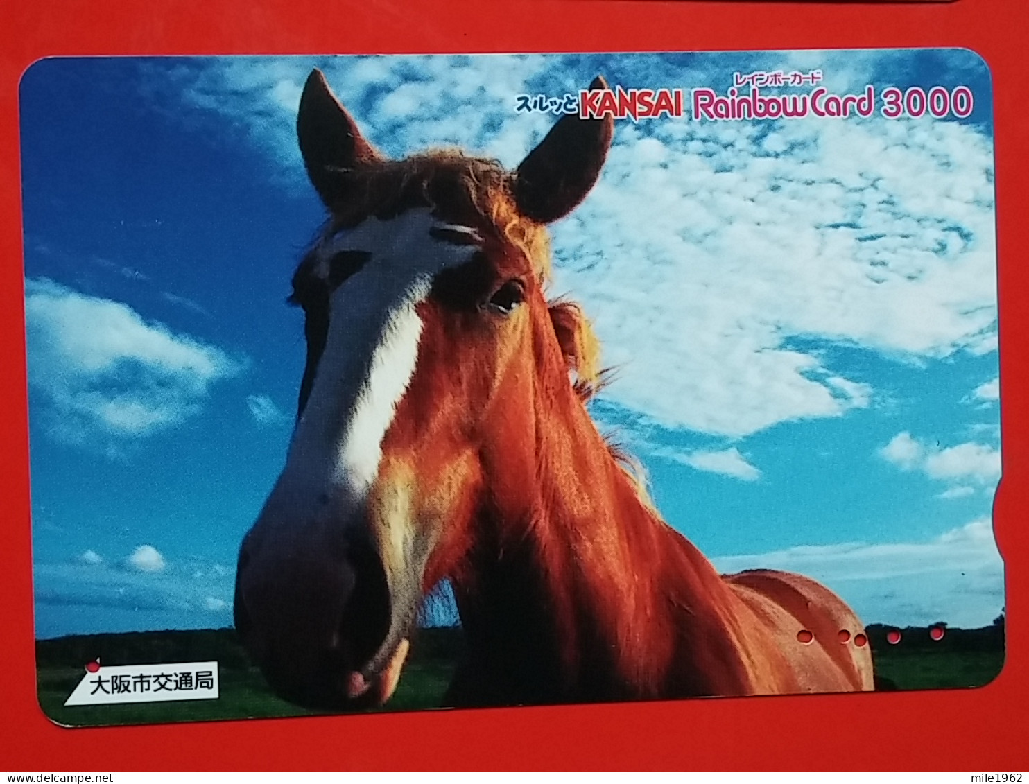 T-203 - JAPAN -JAPON, NIPON, Carte Prepayee  ANIMAL, HORSE, CHEVAL - Horses