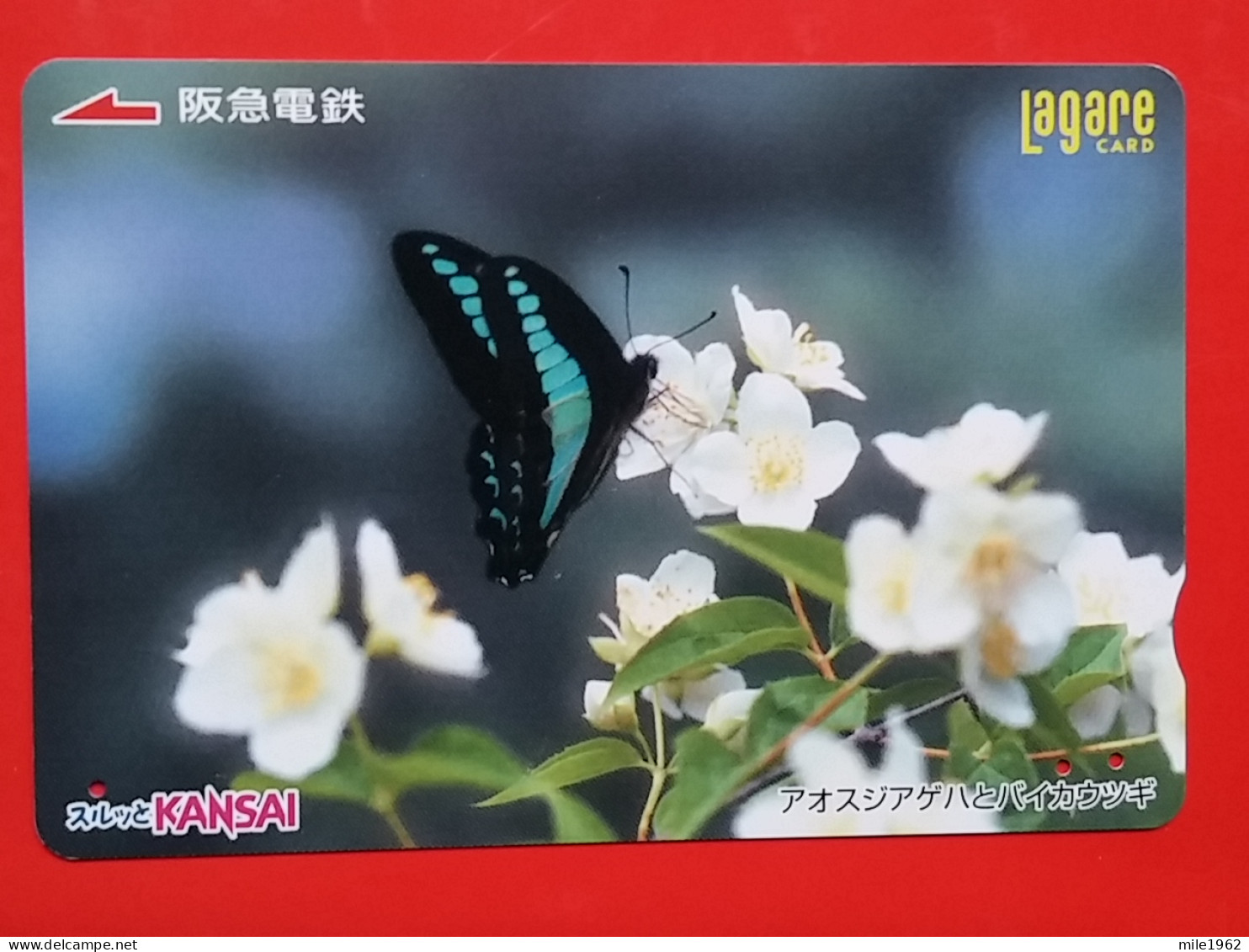 T-203 - JAPAN -JAPON, NIPON, Carte Prepayee  ANIMAL, BUTTERFLY, PAPILLON, LEPTIR, - Papillons