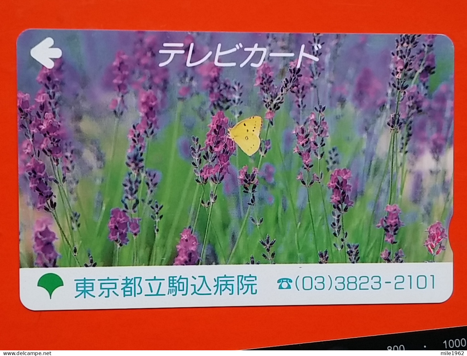 T-203 - JAPAN -JAPON, NIPON, Carte Prepayee  ANIMAL, BUTTERFLY, PAPILLON, LEPTIR, - Papillons