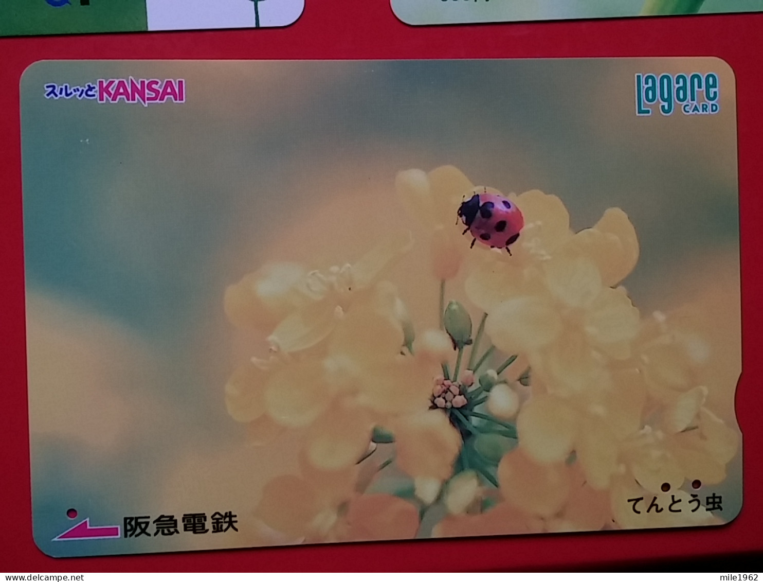 T-203 - JAPAN -JAPON, NIPON, Carte Prepayee  ANIMAL, LADYBUG, BUBAMARA, LADYBIRD, COCCINELLE, - Mariquitas