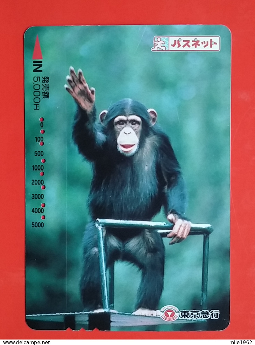 T-204 - JAPAN -JAPON, NIPON, Carte Prepayee  ANIMAL, MONKEY - Oerwoud