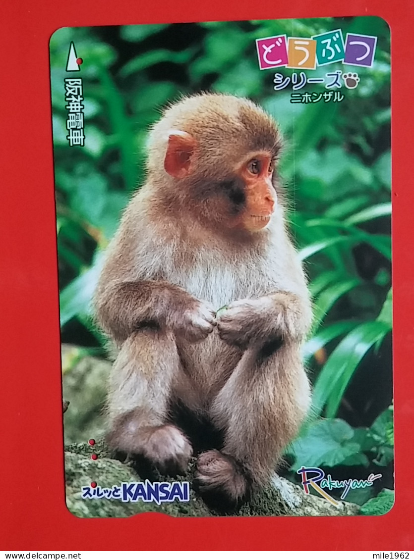 T-204 - JAPAN -JAPON, NIPON, Carte Prepayee  ANIMAL, MONKEY - Dschungel