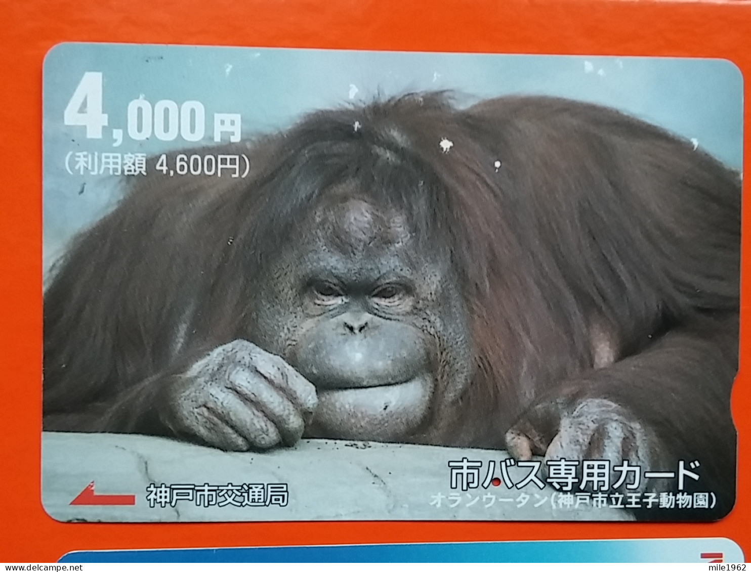 T-204 - JAPAN -JAPON, NIPON, Carte Prepayee  ANIMAL, MONKEY - Jungle