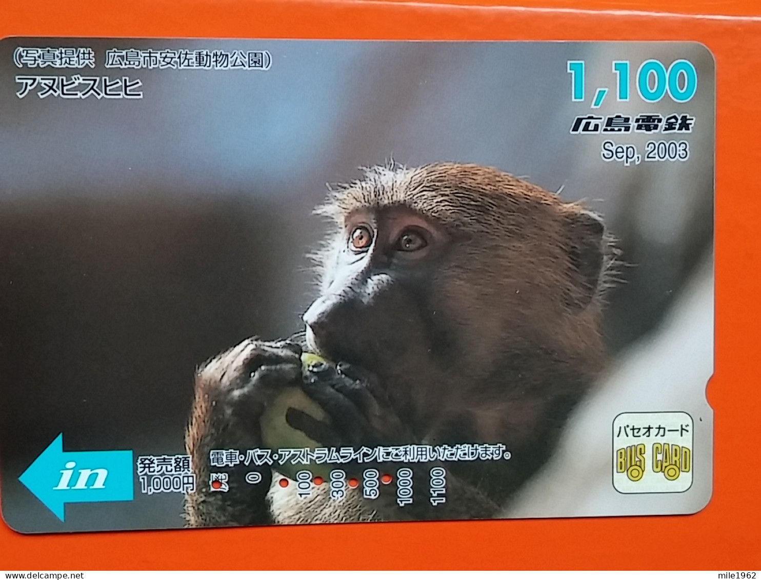 T-204 - JAPAN -JAPON, NIPON, Carte Prepayee  ANIMAL, MONKEY - Jungle