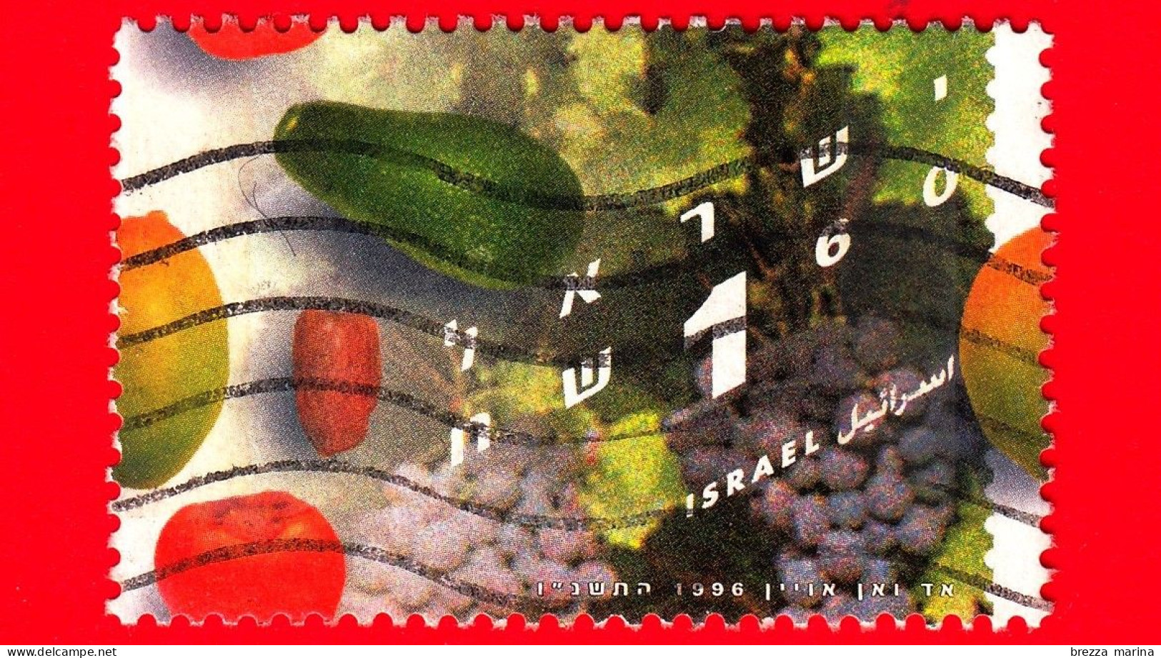 ISRAELE - Usato - 1996 - Frutta - Avocado, Cachi, Dattero, Mango, Uva - 1.60 - Usados (sin Tab)