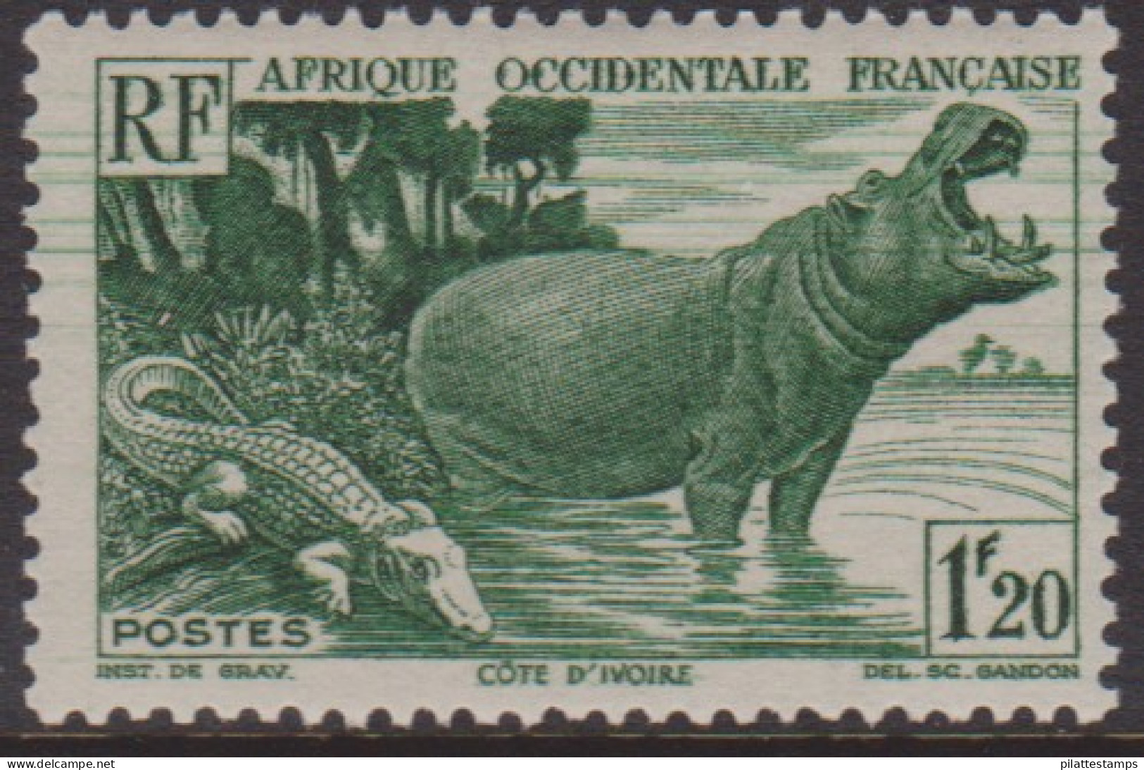 Afrique Occidentale 31** - Altri & Non Classificati