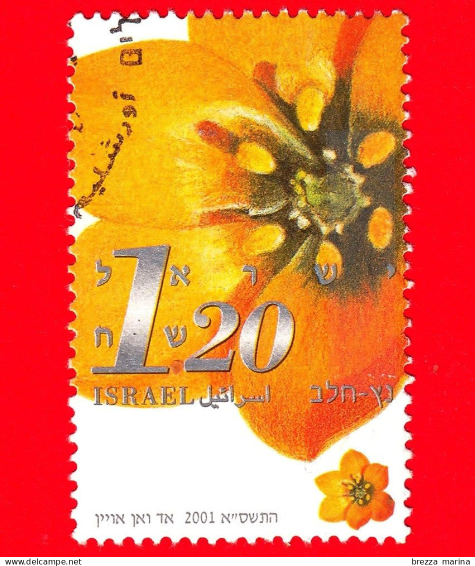 ISRAELE - Usato - 2001 - Fiori Recisi - Ornitogalo - 1.20 - Usados (sin Tab)