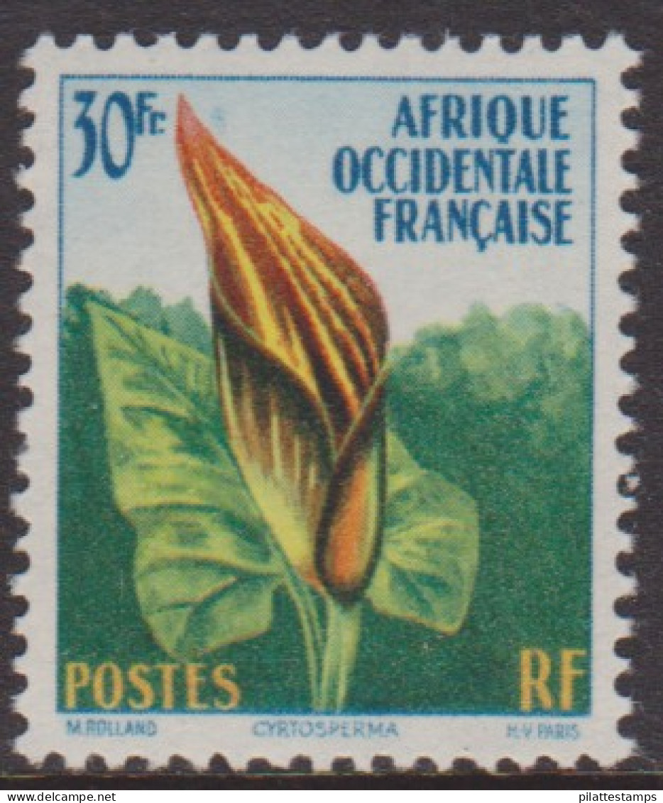 Afrique Occidentale 70** - Other & Unclassified