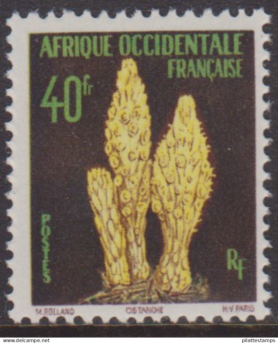 Afrique Occidentale 71** - Other & Unclassified